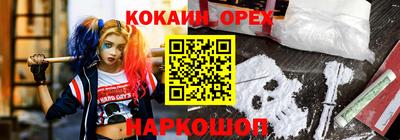 стаф Камышлов