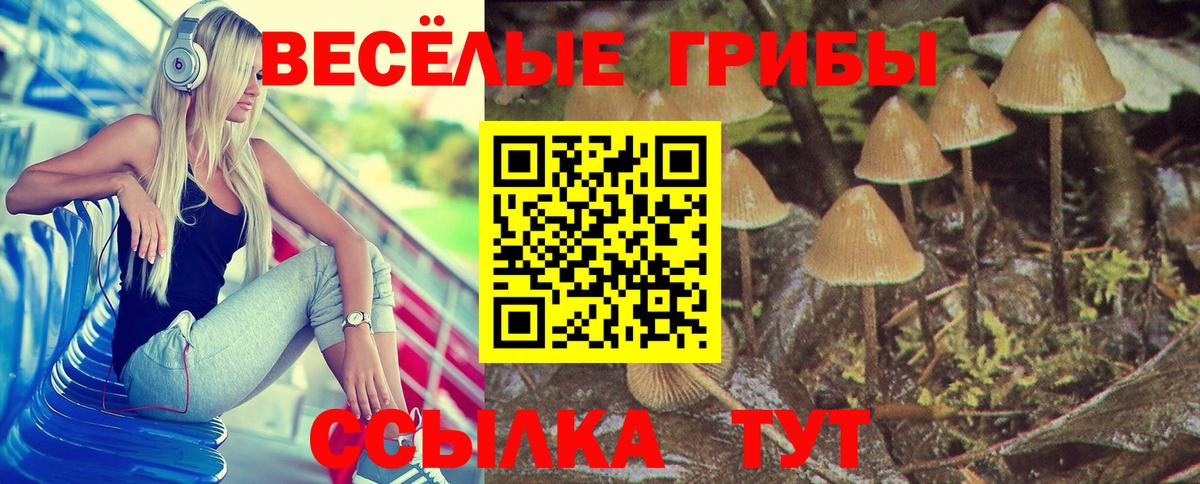Орехово-Зуево  Псилоцибиновые грибы Psilocybine cubensis  Вход с VPN  Псилоцибиновые грибы Cubensis 
